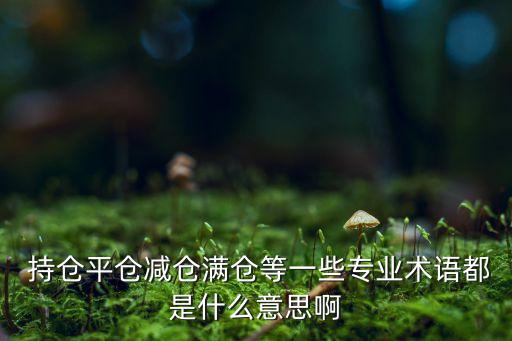  持倉平倉減倉滿倉等一些專業(yè)術(shù)語都是什么意思啊