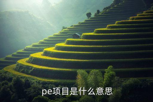 pe被投資方,pe投資是什么意思