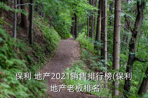 保利 地產(chǎn)2021銷(xiāo)售排行榜(保利 地產(chǎn)老板排名