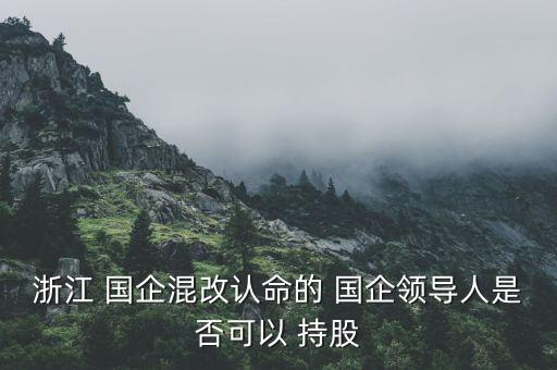 浙江 國(guó)企混改認(rèn)命的 國(guó)企領(lǐng)導(dǎo)人是否可以 持股