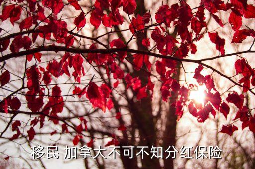 移民 加拿大不可不知分紅保險(xiǎn)