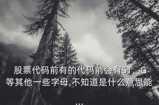  股票代碼前有的代碼前會(huì)有ST、G等其他一些字母,不知道是什么意思能...