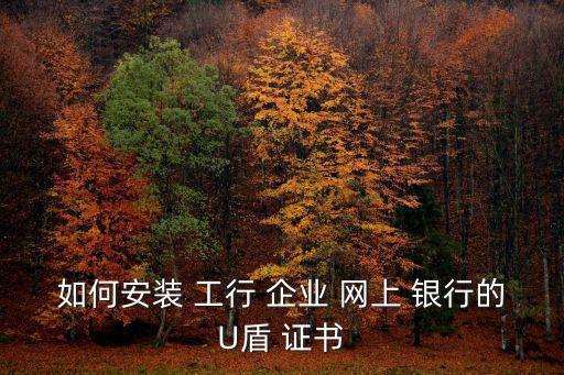 如何安裝 工行 企業(yè) 網(wǎng)上 銀行的U盾 證書(shū)