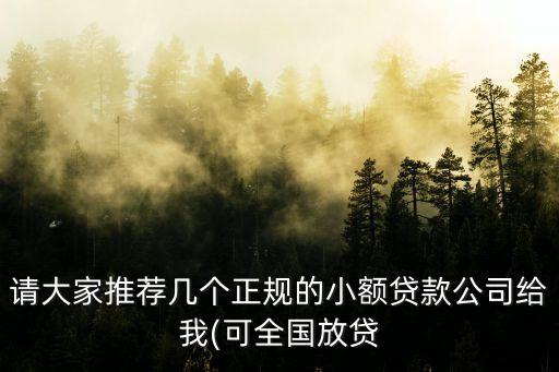 請大家推薦幾個正規(guī)的小額貸款公司給我(可全國放貸