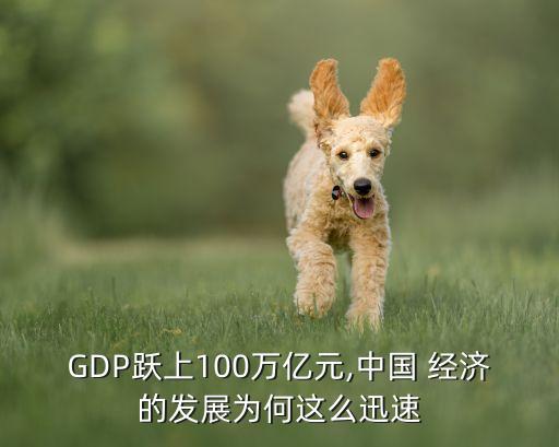 GDP躍上100萬億元,中國 經(jīng)濟(jì)的發(fā)展為何這么迅速