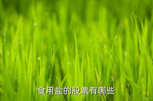 昆明鹽礦公司簡(jiǎn)介,華潤(rùn)置地昆明公司簡(jiǎn)介