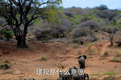 中投華文傳媒投資,福建省中投傳媒投資有限公司