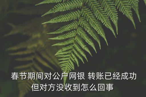  春節(jié)期間對公戶網銀 轉賬已經成功但對方沒收到怎么回事