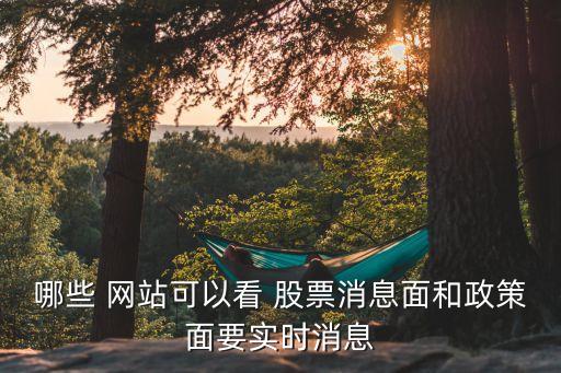 哪些 網(wǎng)站可以看 股票消息面和政策面要實(shí)時(shí)消息