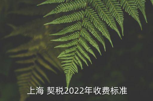  上海 契稅2022年收費標準