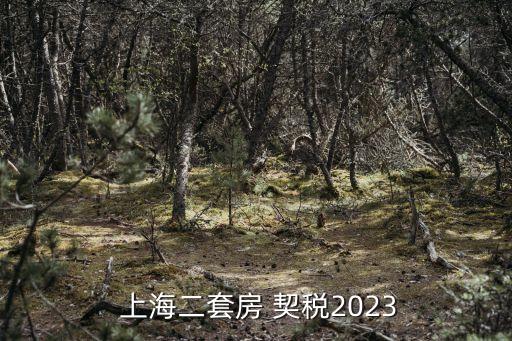  上海二套房 契稅2023