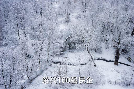  紹興100強(qiáng)民企