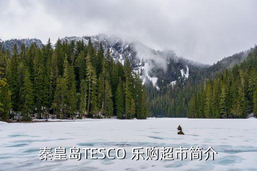 秦皇島TESCO 樂購超市簡介