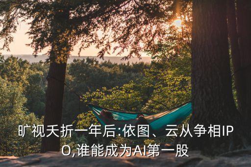 曠視夭折一年后:依圖、云從爭(zhēng)相IPO,誰(shuí)能成為AI第一股