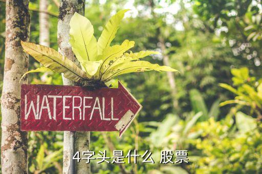 4開(kāi)頭的股票怎么買(mǎi),00開(kāi)頭的股票怎么買(mǎi)不了