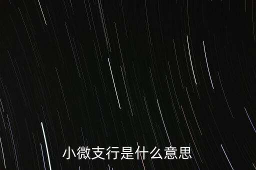 小微支行是什么意思