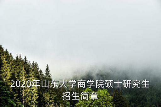 2020年山東大學(xué)商學(xué)院碩士研究生招生簡章