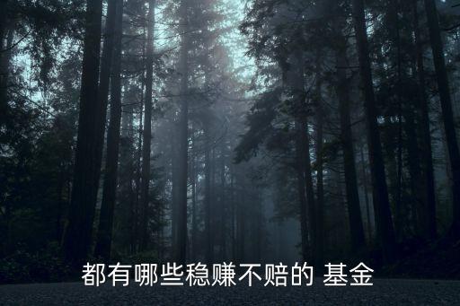 都有哪些穩(wěn)賺不賠的 基金