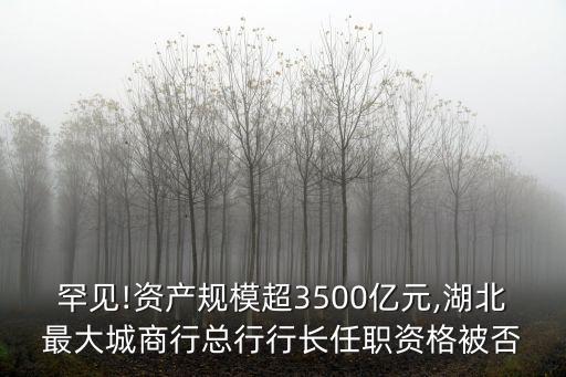 罕見!資產(chǎn)規(guī)模超3500億元,湖北最大城商行總行行長任職資格被否