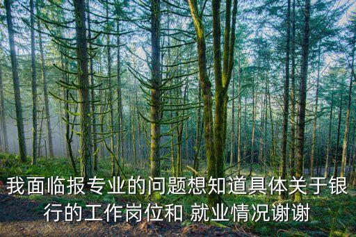 我面臨報專業(yè)的問題想知道具體關(guān)于銀行的工作崗位和 就業(yè)情況謝謝