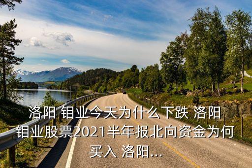  洛陽(yáng) 鉬業(yè)今天為什么下跌 洛陽(yáng) 鉬業(yè)股票2021半年報(bào)北向資金為何買(mǎi)入 洛陽(yáng)...