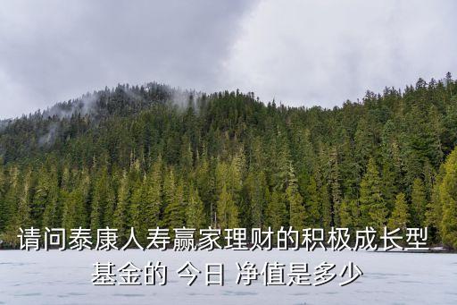 請問泰康人壽贏家理財?shù)姆e極成長型 基金的 今日 凈值是多少