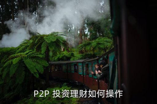 怎樣p2p在線網(wǎng)上投資,怎樣追回p2p投資的錢