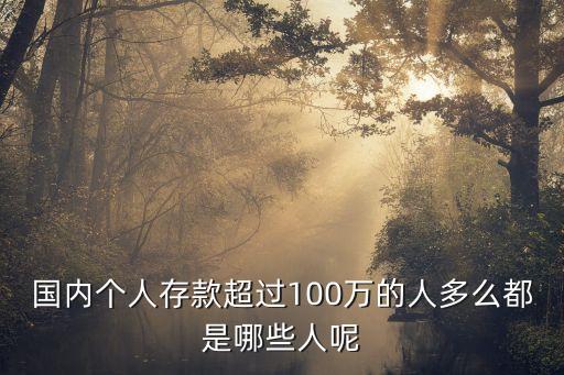 國內(nèi)個人存款超過100萬的人多么都是哪些人呢