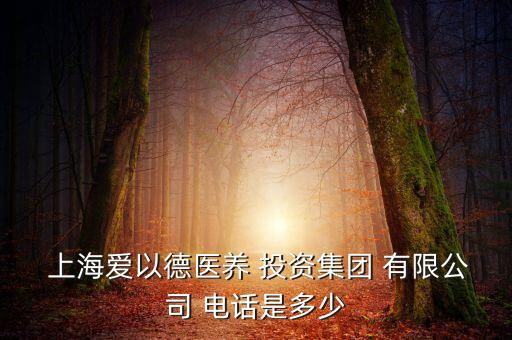  上海愛(ài)以德醫(yī)養(yǎng) 投資集團(tuán) 有限公司 電話是多少