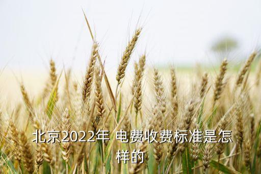  北京2022年 電費收費標(biāo)準(zhǔn)是怎樣的