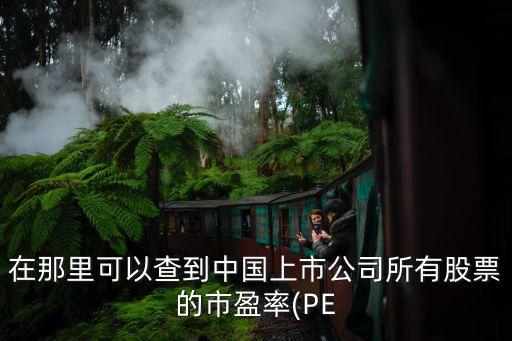 在那里可以查到中國上市公司所有股票的市盈率(PE