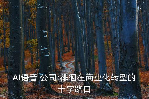 AI語(yǔ)音 公司:徘徊在商業(yè)化轉(zhuǎn)型的十字路口