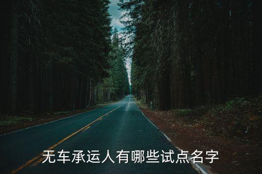 無車承運(yùn)人有哪些試點(diǎn)名字