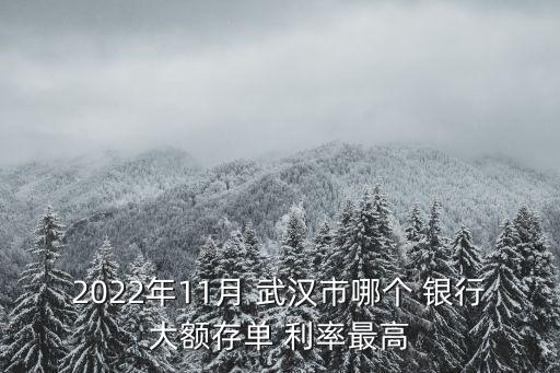 2022年11月 武漢市哪個 銀行大額存單 利率最高