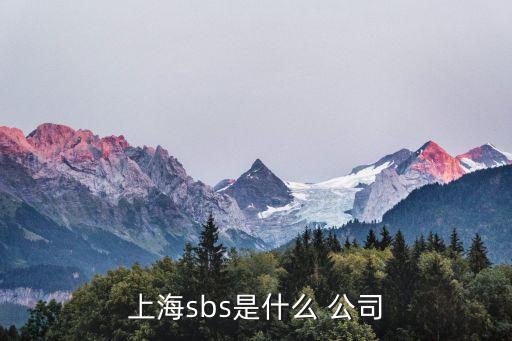 上海sbs是什么 公司