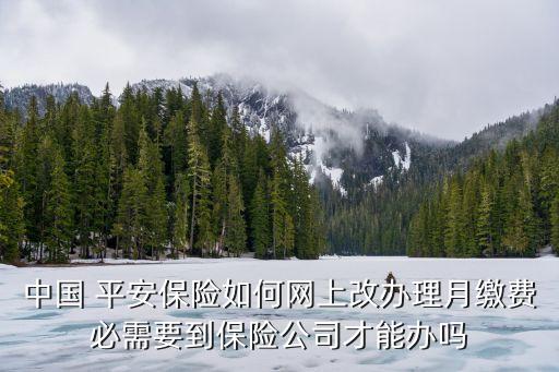 中國 平安保險如何網(wǎng)上改辦理月繳費必需要到保險公司才能辦嗎