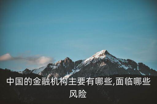 中國的金融機(jī)構(gòu)主要有哪些,面臨哪些風(fēng)險(xiǎn)