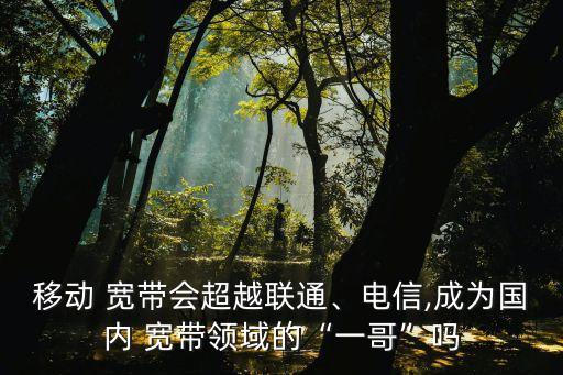 移動(dòng) 寬帶會(huì)超越聯(lián)通、電信,成為國(guó)內(nèi) 寬帶領(lǐng)域的“一哥”嗎