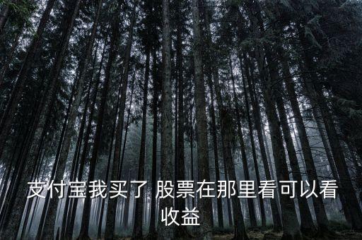  支付寶我買(mǎi)了 股票在那里看可以看收益