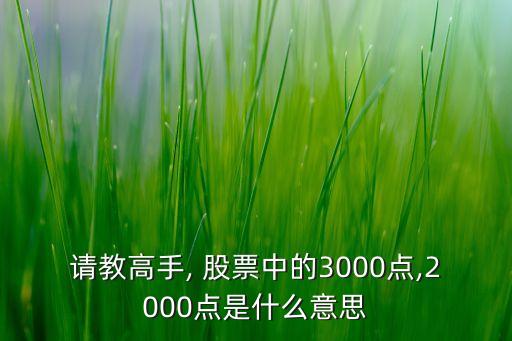 請教高手, 股票中的3000點,2000點是什么意思