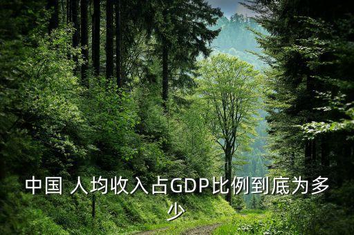 中國(guó) 人均收入占GDP比例到底為多少