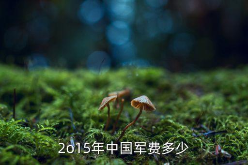 2o15年中國軍費多少