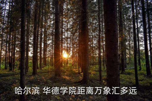 聊城利民華德藥品有限公司,山東聊城利民藥業(yè)集團有限公司