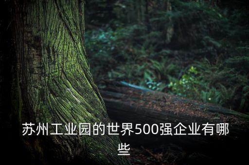  蘇州工業(yè)園的世界500強(qiáng)企業(yè)有哪些