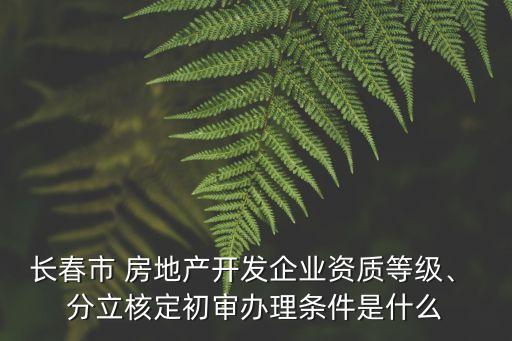 房地產(chǎn)公司投資達(dá)到多少可以分立,投資一家房地產(chǎn)公司需要多少錢