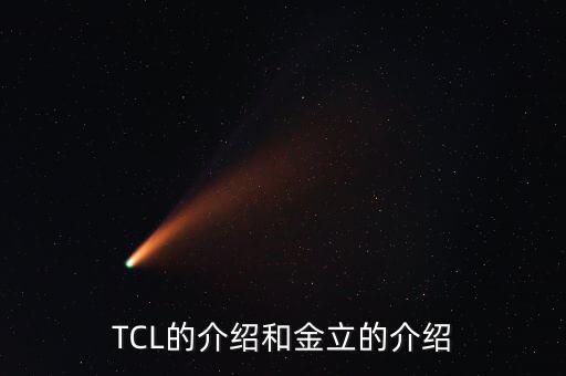 tcl醫(yī)療集團(tuán)簡介,TCL中環(huán)集團(tuán)簡介