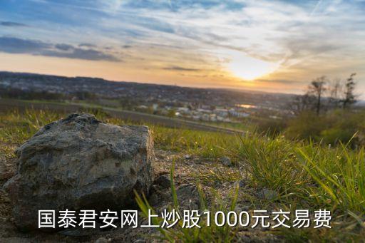  國泰君安網(wǎng)上炒股1000元交易費(fèi)