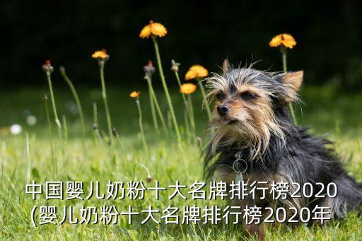 中國(guó)嬰兒奶粉十大名牌排行榜2020(嬰兒奶粉十大名牌排行榜2020年