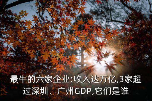 最牛的六家企業(yè):收入達萬億,3家超過深圳、廣州GDP,它們是誰