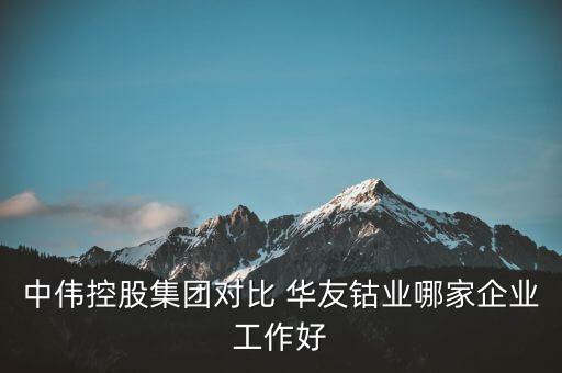 中偉控股集團(tuán)對(duì)比 華友鈷業(yè)哪家企業(yè)工作好